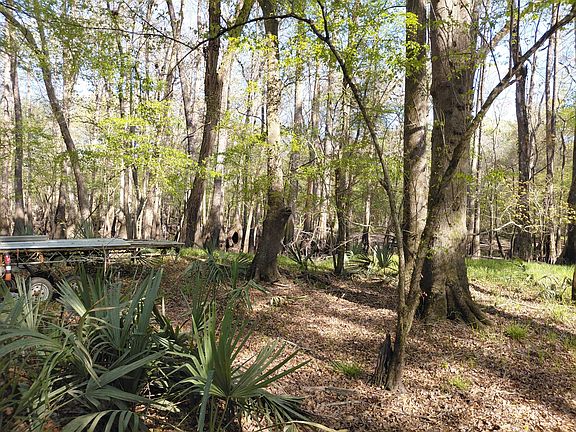 4th image of 2 & 3 Gator Cv