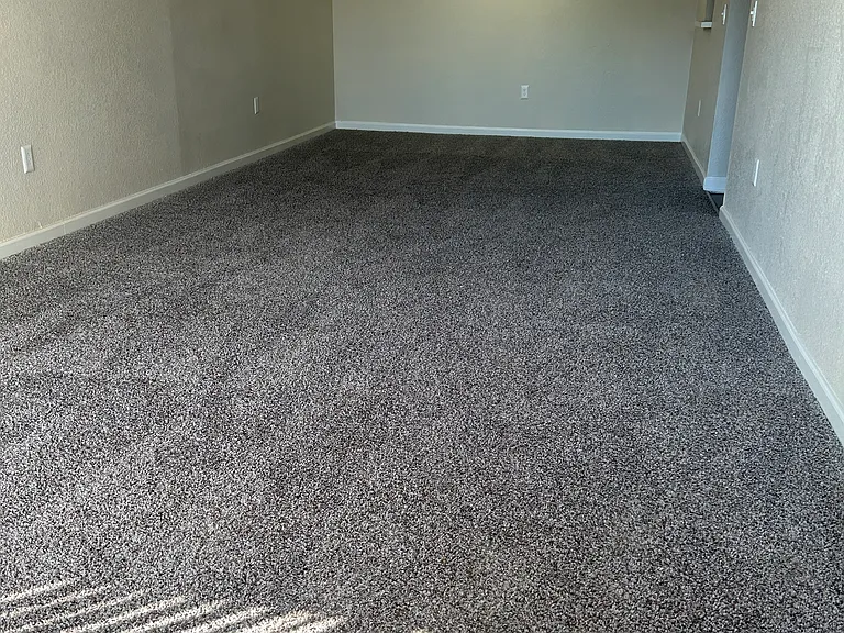 2x2 living room carpet