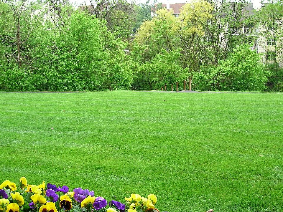 View from back porch