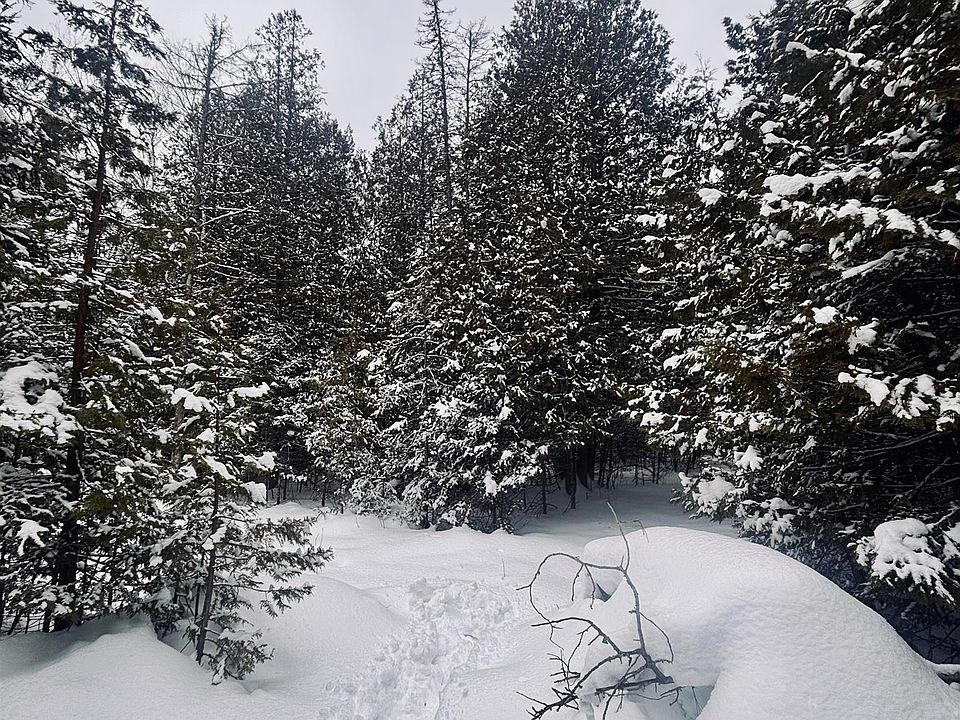 1st image of 20130 E North Caribou Lake Rd
