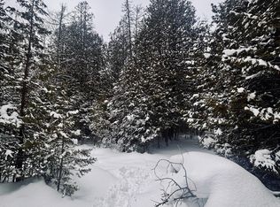 20130 E North Caribou Lake Rd, De Tour Village, MI 49725