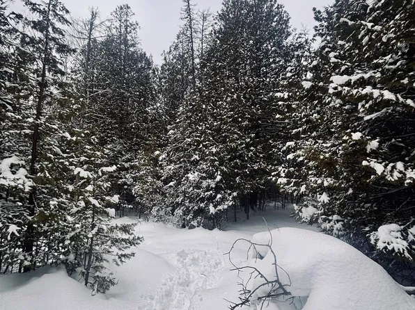 20130 E North Caribou Lake Rd, De Tour Village, MI 49725