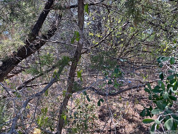 4th image of 864 HILL TOP DR