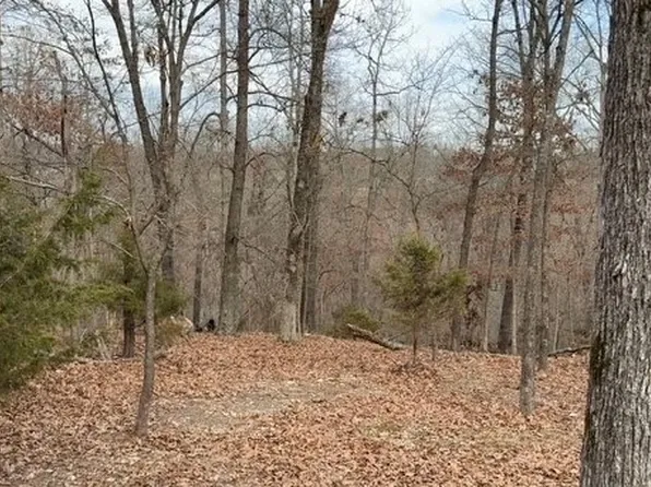 Ozark Ridge Dr #28, Rogers, AR 72756