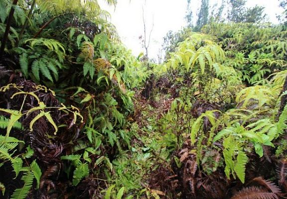 5th image of Nahelenani St Lot 53-B