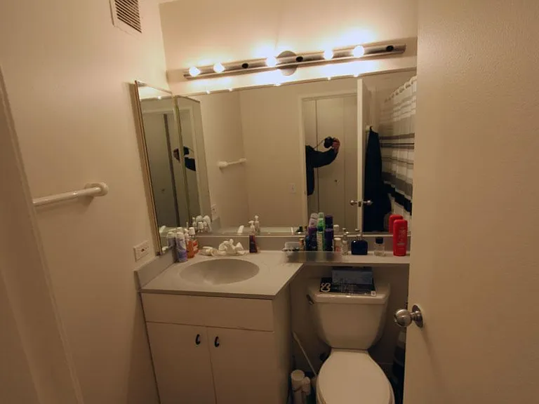 3660 N Lake Shore Dr #3309 — Photo 4