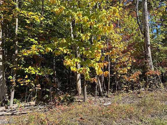 3rd image of V/l 3 Trask Rd