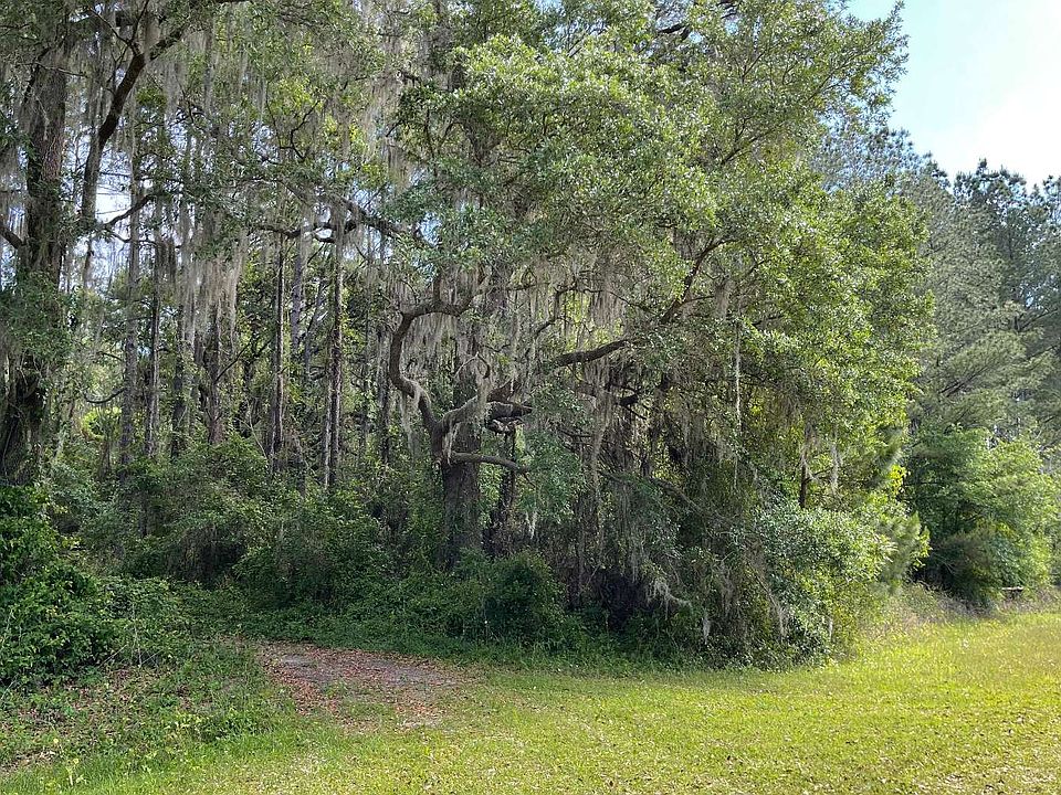 2nd image of 100 NW Treeline Gln