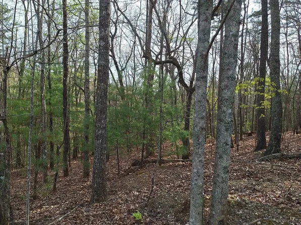 0 Mull Lane Cir, Morganton, GA 30560