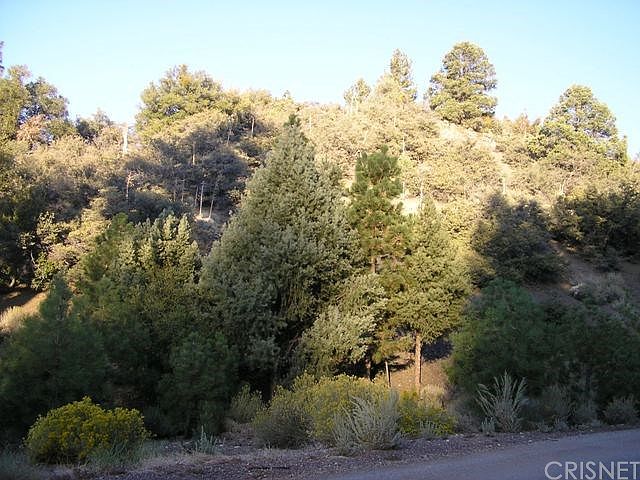 1st image of 1608 Dogwood Way