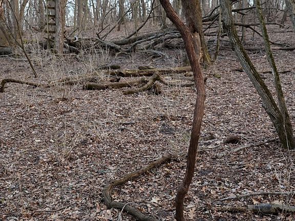 4th image of 566 Hardin Rd