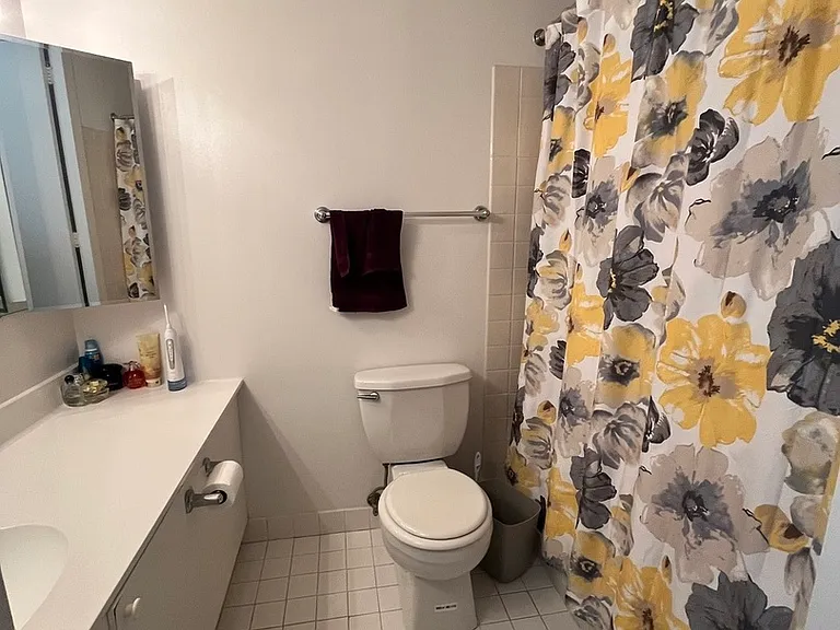 405 N Wabash Ave #2612 — Photo 15