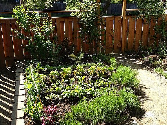Side yard garden