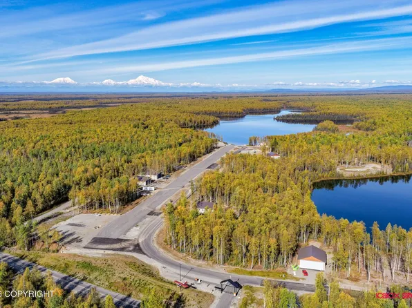 19076 E Kodiak Rd, Willow, AK 99688