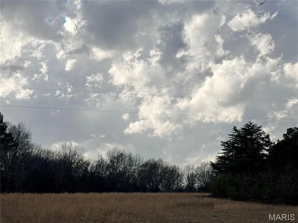 TRACT 1D 935 Audrain Rd, Mexico, MO 65265