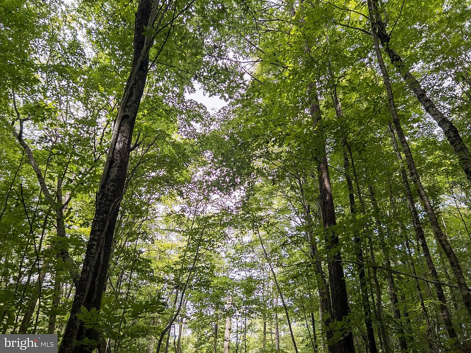 0 Stamping Creek Rd, Hillsboro, WV 24946 Zillow