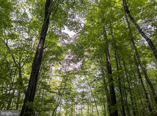 0 Stamping Creek Rd, Hillsboro, WV 24946