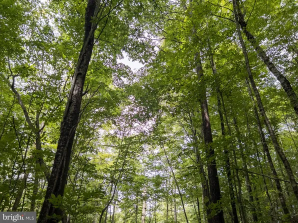 0 Stamping Creek Rd, Hillsboro, WV 24946