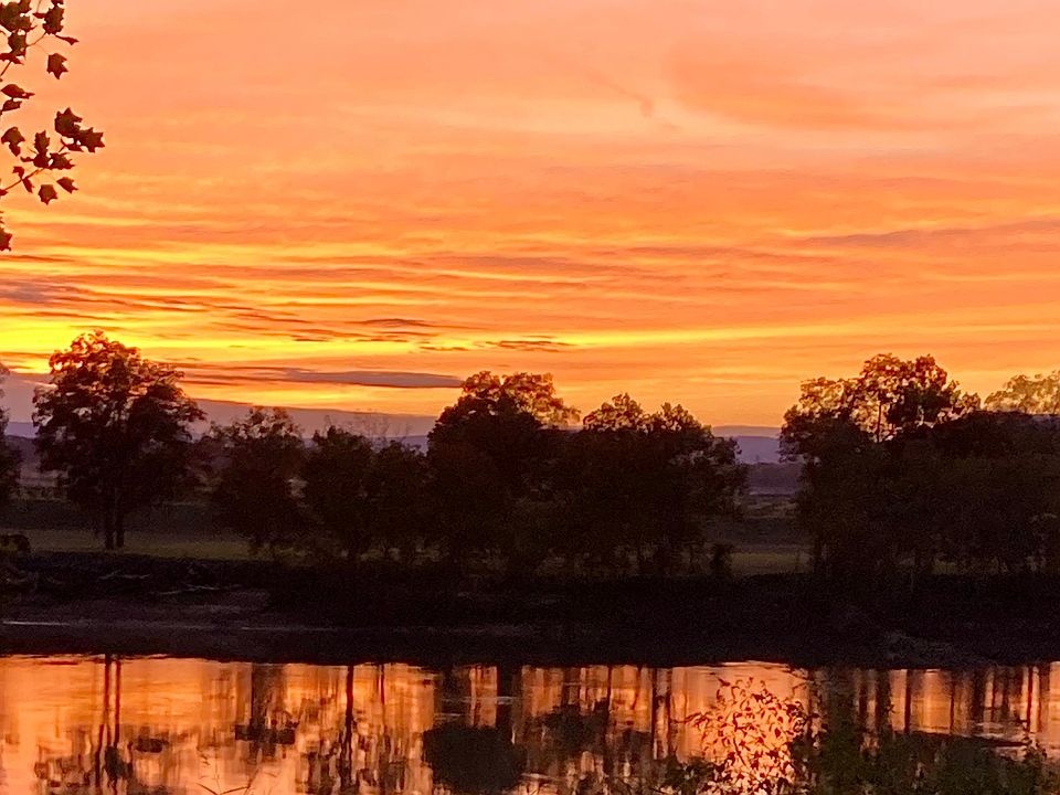 View from backyard