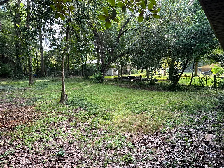 back yard