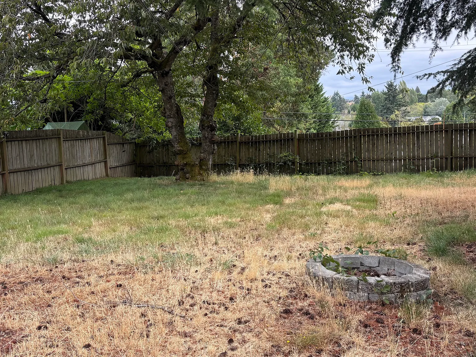 2 bed, 700 sqft, $2,590 — Photo 2
