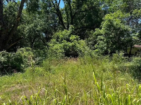 130 E Doe St, Lead Hill, AR 72644