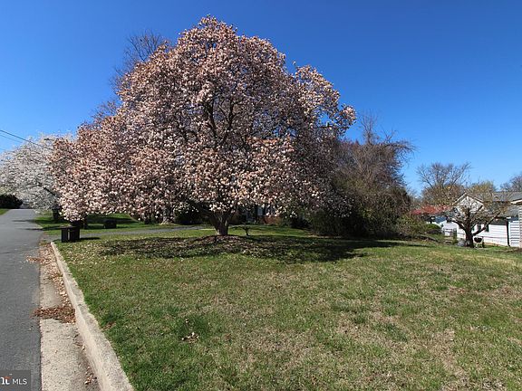 3rd image of 7254 Beverly Manor Dr