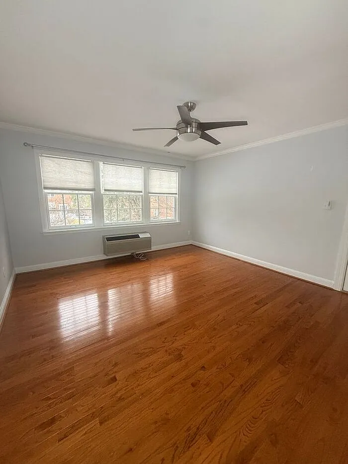 1 bed, 1.0 bath, 578 sqft, $2,000 — Photo 2