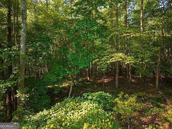 3rd image of 0 Cox Rd