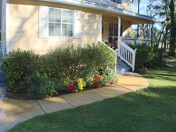 beautiful landscaping