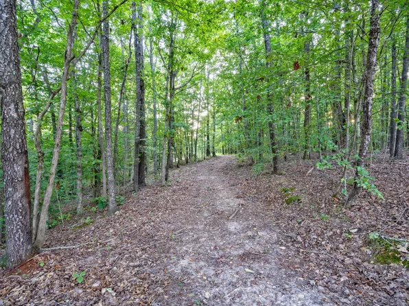 100 Deer Lick Trl Lot 79, Dover, TN 37058