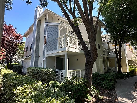 Back Patio/Decking from Living Room
