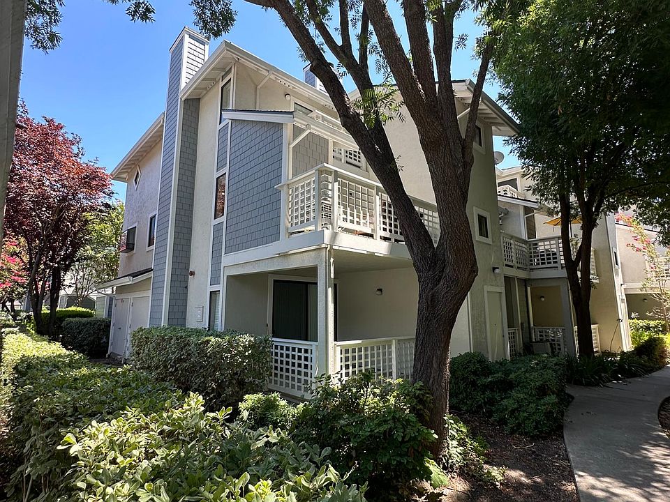 Back Patio/Decking from Living Room