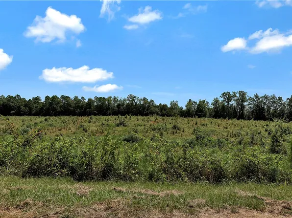 TRACT 4 Brown Rd, Iva, SC 29655
