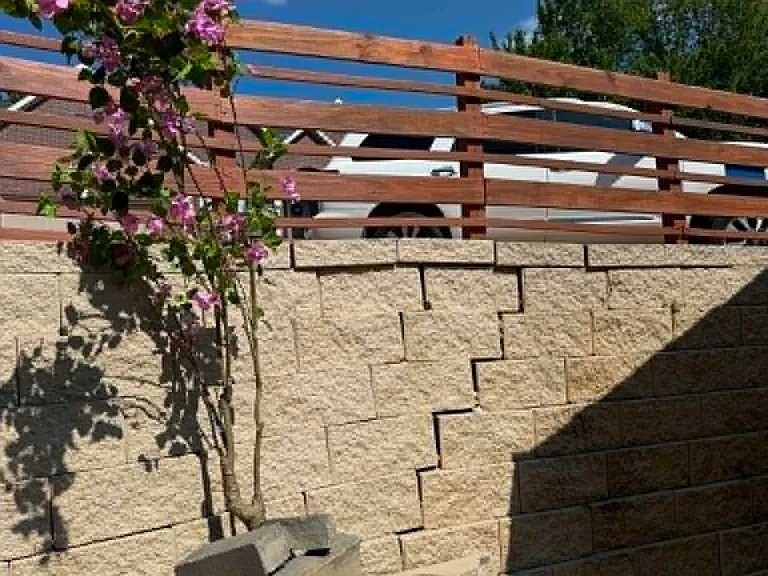 Home Exterior with Bougenvilia tree

Guest parking located above