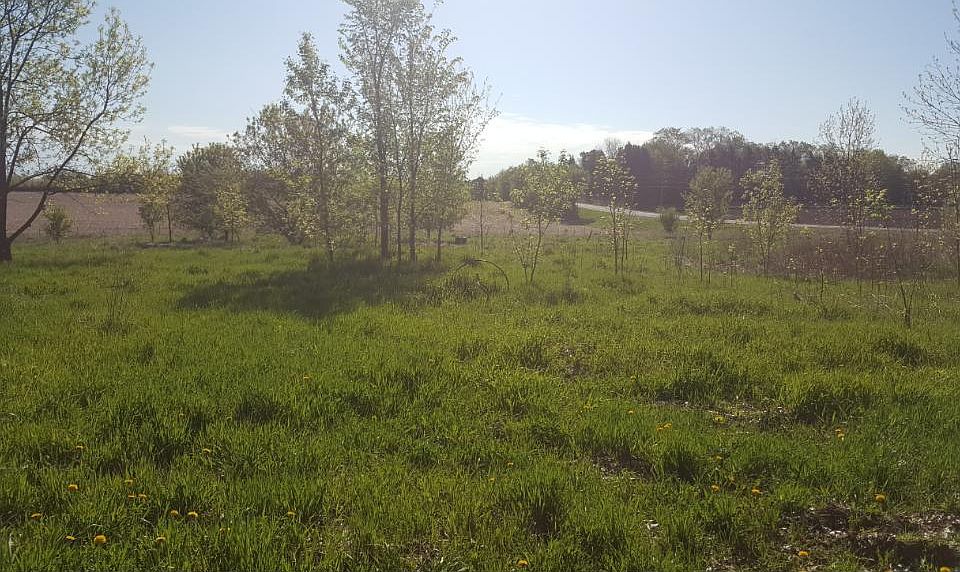 1st image of 12828 375th St