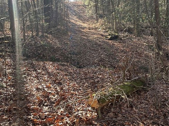 4th image of 0 Mason Dixon Hwy