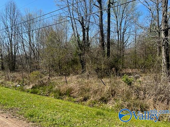 4th image of 48ACRE S Wilbanks Ln
