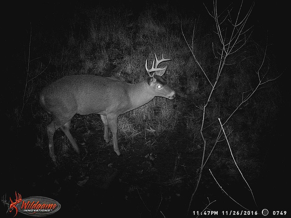 2nd image of W North Union Rd
