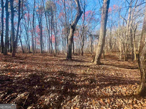 12 Morningside Dr, Cleveland, GA 30528