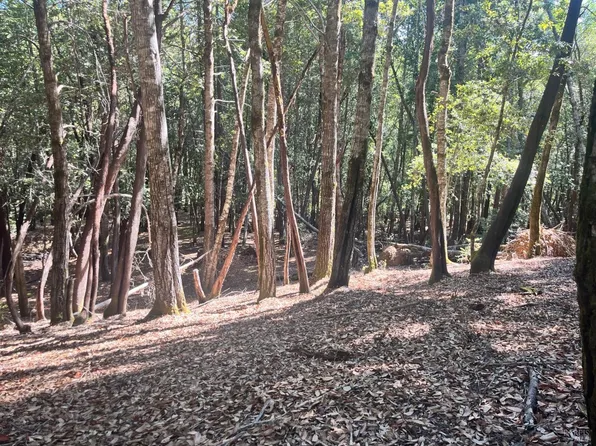 26093 Otter Drive, Willits, CA 95490