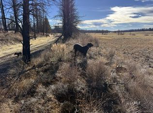 Yellow Pine Rd, Bly, OR 97622