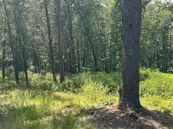 (undisclosed Address), Shirley, AR 72153