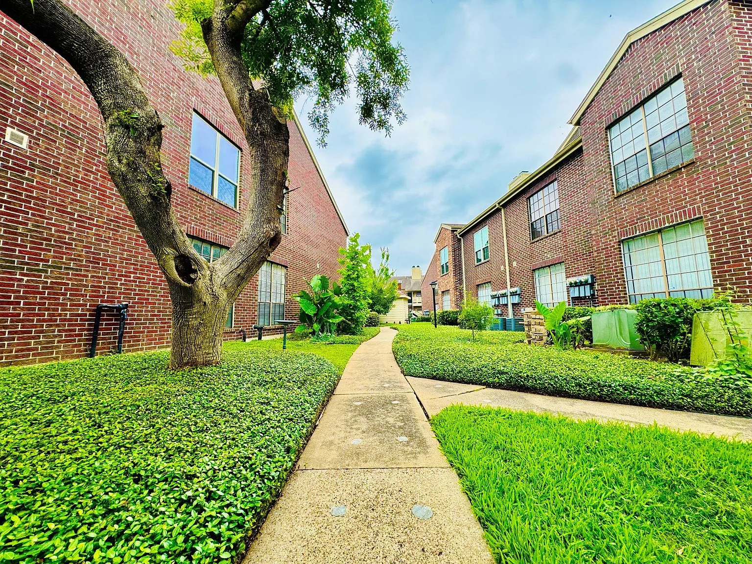 2 bed, 1.0 bath, 776 sqft, $1,200 — Photo 3