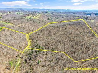 515 Robinson Rd, New Tazewell, TN 37825