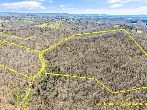 515 Robinson Rd, New Tazewell, TN 37825