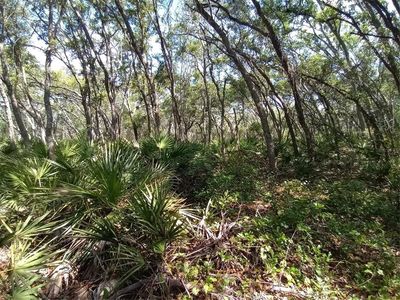 34457 Primrose Ln Lot 5, Webster, FL, 33597