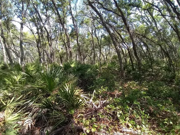 34457 PRIMROSE LANE LOT 5, WEBSTER, FL 33597
