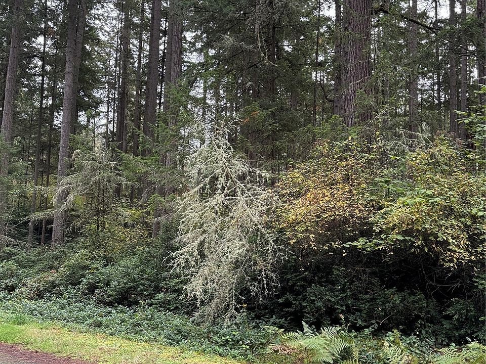 1st image of 10916 Suncrest Drive