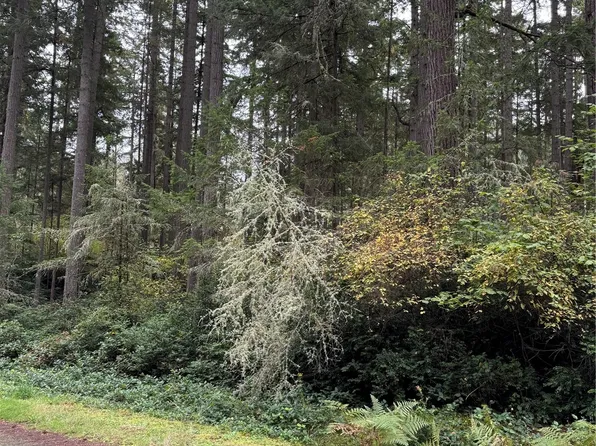 10916 Suncrest Drive, Anderson Island, WA 98303